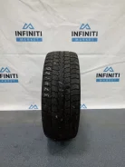 Toyo Winter Tranpath S1