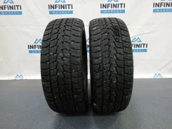 Toyo Winter Tranpath S1