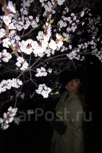 Olympus. 10 - 14.9 ��, ���: 3� ����