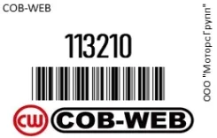 ������ ���� � ��������� ���������� ������� (SF321/073210C) COB-WEB 113210 113210 ����