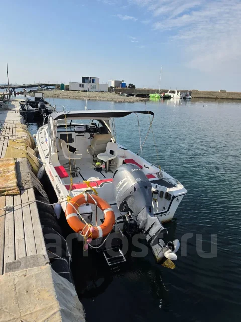 Yamaha F-24. 1995 ���, ����� 7,3��., ��������� ���������, 150��.�., ������ ����