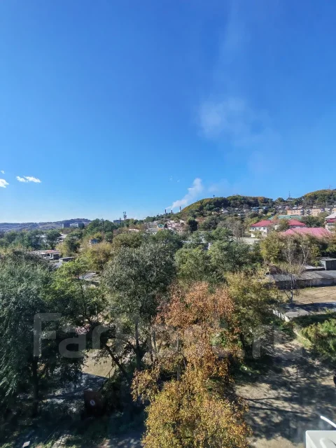 1-���������, ����� �������� 29. ���������, ���������, 29,1���.��., 5/5 ����. ��� �� ���� ���� ����
