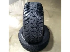 Monsta Mud Warrior