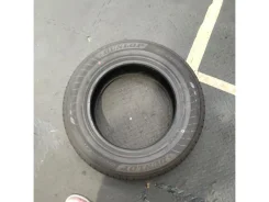 Dunlop Enasave EC205