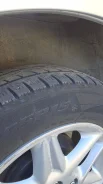 Saferich. ������, ��� �����, �/�, ����� 60 % ����