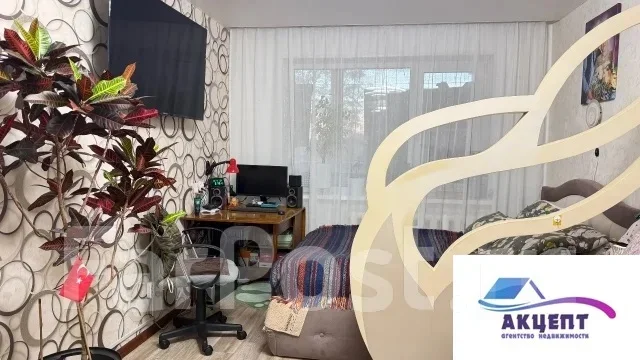 1-���������, ����� ������������ (���. ���������) 17. ���������, ���������, 33,8���.��., 2/5 ���� ����