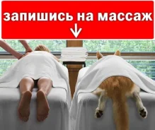 ������. ����