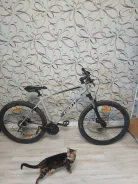 Giant ����