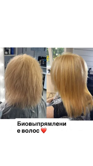 �������������� �����. ����