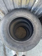 Streamstone. ������, ��� �����, 2023 ���, �/�, ����� 50 %. �������� ������ ����