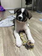 ������. ����