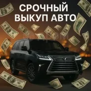 ������� ����� ���� ����