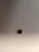 ������ �� ������ ������������. ����