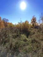 ������ ��������� ������� � ����� ������. 21.8����., �������������� ������������ ����� ����