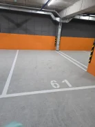 ����� �����������. ����