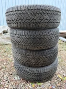 Compasal Winterblazer Van. ������, ��� �����, 2024 ���, �/�, ����� 5 % ����
