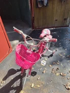 ������� ����������. ����