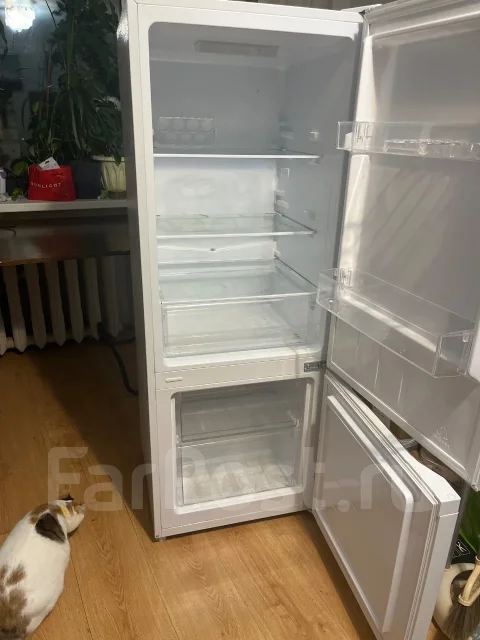 ������������. ����