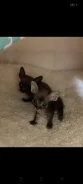 ������. ����