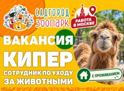 �������, ������� �� ����� �� ���������-�������, ������� �� ����� �� ���������-����������. �� ������� �.�. ������� "��������". �. ����, ������� �������...