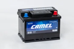 Camel