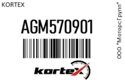 Kortex