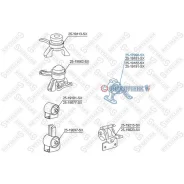 ������� ��������� ������ Toyota Caldina 2517998SX 2517998SX ����