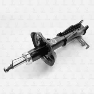 ����������� �������� ������� TORR DV1685L DV1685L ����