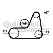 ������ ������������ Ford Focus, Fusion, Mazda 2, 3 98 Contitech 6PK1042Elast 6PK1042ELAST ����