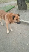 ������. ����