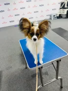 ��������. ����