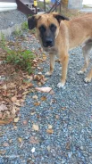 ������. ����