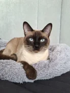 ������� �����. ����