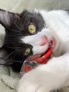 �����. ����