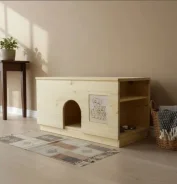 �����. ����