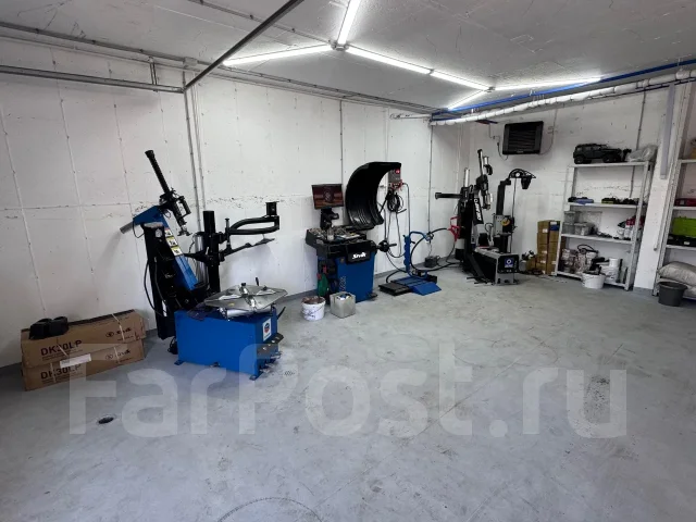 Triangle Snowlink PL01. ������, ��� �����, 2026 ���, ����� ����