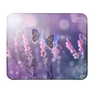 ������ Smartbuy Summer S-size (275�228�3) ����