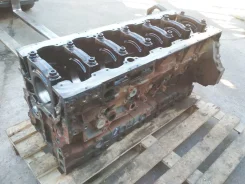���� ��������� ��� 1871901 1871901 ����