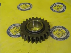 �������� ������ �������� ��� 1111901 1111901 ����