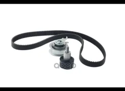 ������ ��� + 2 ������ AUDI, SEAT, Skoda, VW 1.0TSI-1.6 11- Borsehung ���. B10210 B10210 ����