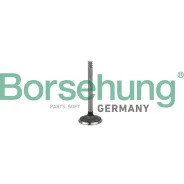 ������ �������� VAG Borsehung B18998 B18998 ����
