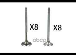 �������� �������� � ��������� �������� Borsehung ���. B18630 B18630 ����
