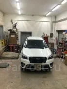 ������ �����������. ����
