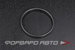 ������ �������������� ������������ 45*2,5 NOK OR-02.50_045.00 OR025004500 ����