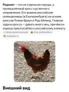 ����. ����