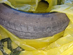 Streamstone. �����������, 2023 ���, �/�, ����� 30 %. ��������� ����