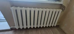 ����� �������� ��������� ����