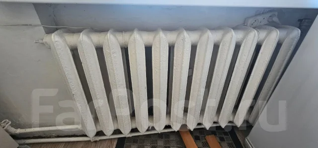 ����� �������� ��������� ����