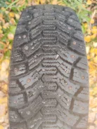 Cordiant Polar. ������, ����������, 2012 ���, �/�, ����� 5 % ����