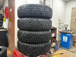 ZMax Winternova Stud I. ������, ����������, 2023 ���, �/�, ����� �� 5 % ����